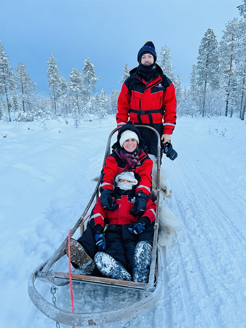 Dog sledding in Arctic Finland.